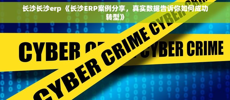 长沙长沙erp 《长沙ERP案例分享，真实数据告诉你如何成功转型》