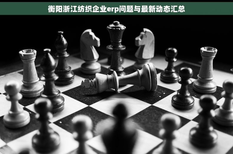 衡阳浙江纺织企业erp问题与最新动态汇总