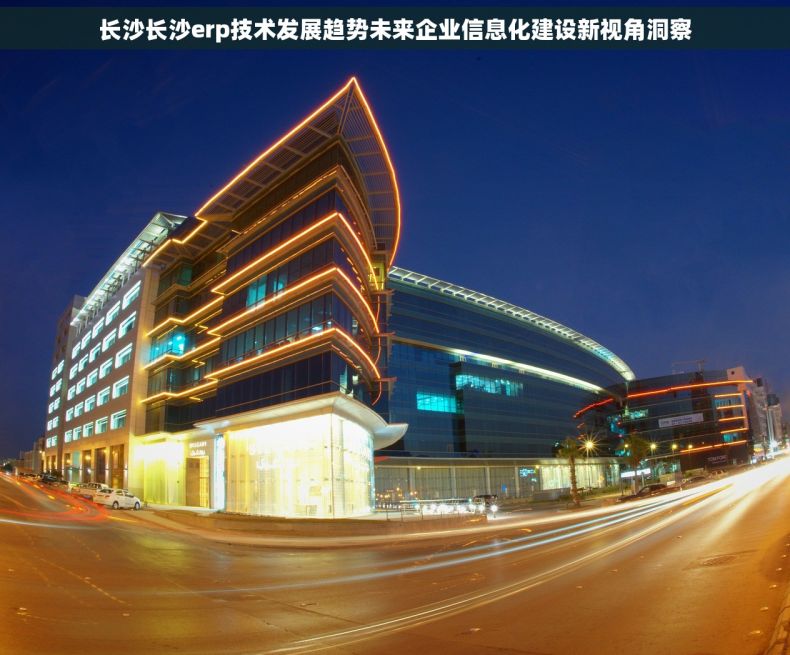 长沙长沙erp技术发展趋势未来企业信息化建设新视角洞察