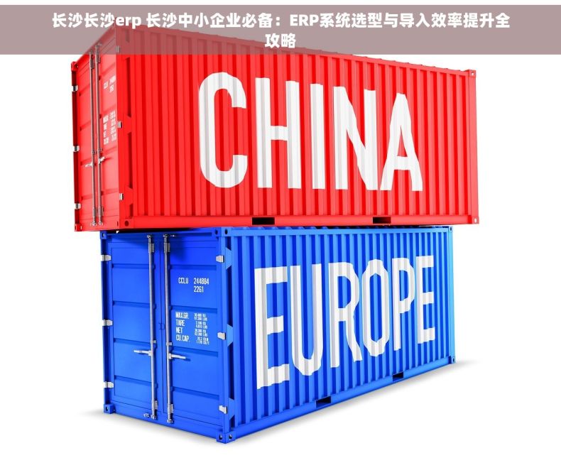长沙长沙erp 长沙中小企业必备：ERP系统选型与导入效率提升全攻略