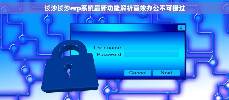 长沙长沙erp系统最新功能解析高效办公不可错过