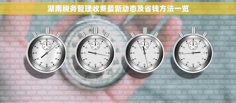湖南税务管理收费最新动态及省钱方法一览