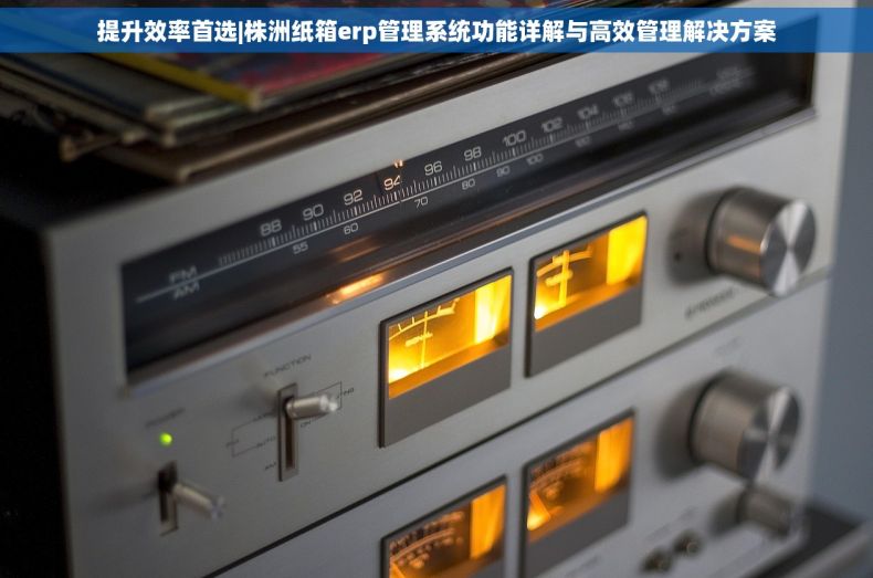 提升效率首选|株洲纸箱erp管理系统功能详解与高效管理解决方案