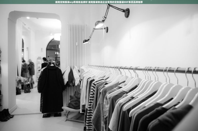 衡阳定制服装erp有哪些品牌好 衡阳服装制造企业常用的定制服装ERP系统品牌推荐