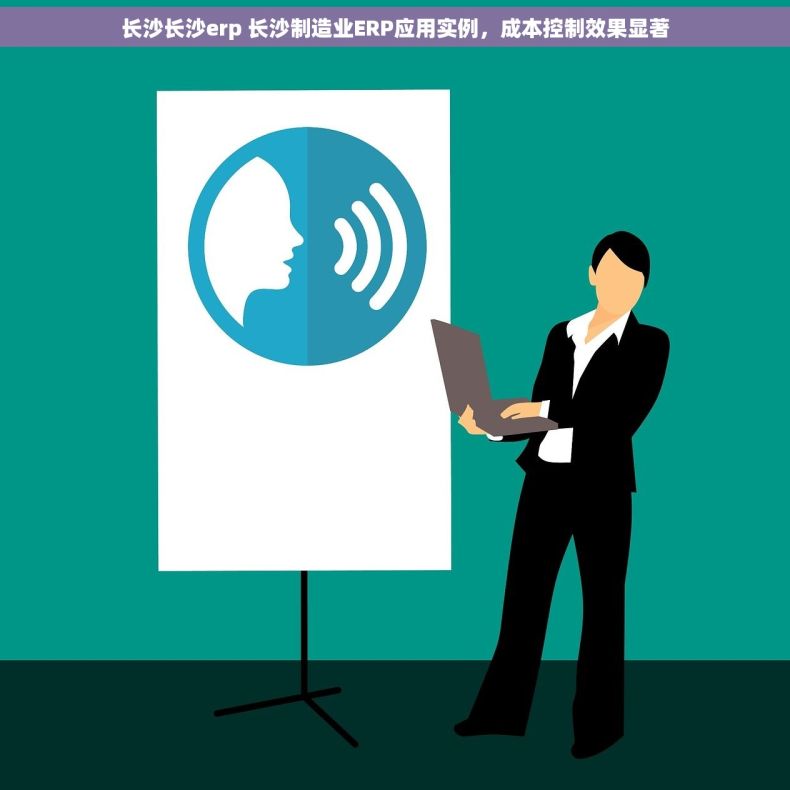 长沙长沙erp 长沙制造业ERP应用实例，成本控制效果显著