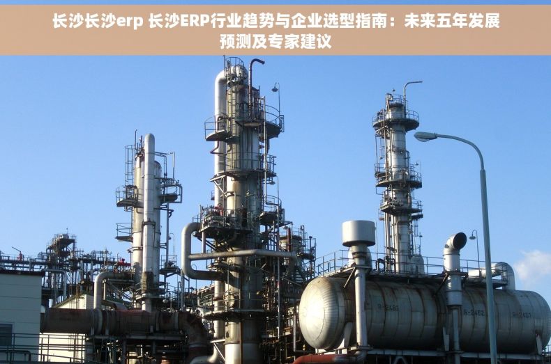 长沙长沙erp 长沙ERP行业趋势与企业选型指南：未来五年发展预测及专家建议