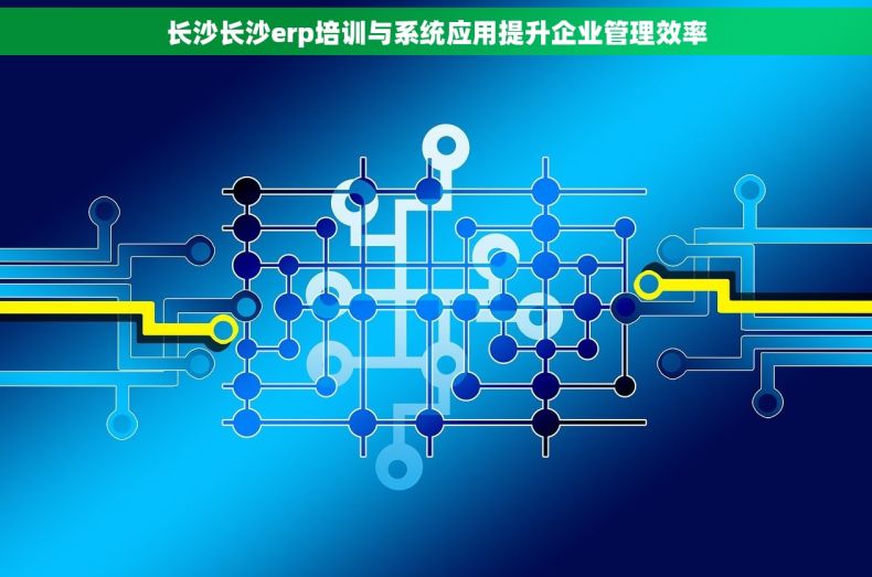 长沙长沙erp培训与系统应用提升企业管理效率