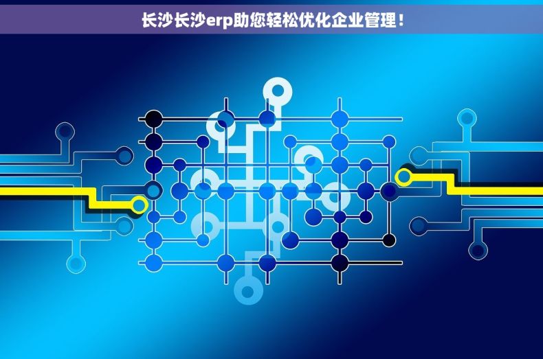 长沙长沙erp助您轻松优化企业管理！