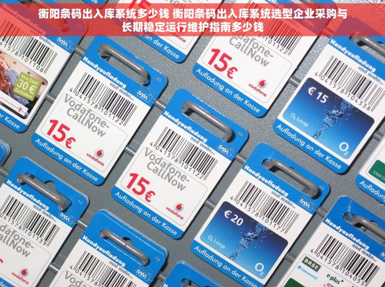 衡阳条码出入库系统多少钱 衡阳条码出入库系统选型企业采购与长期稳定运行维护指南多少钱
