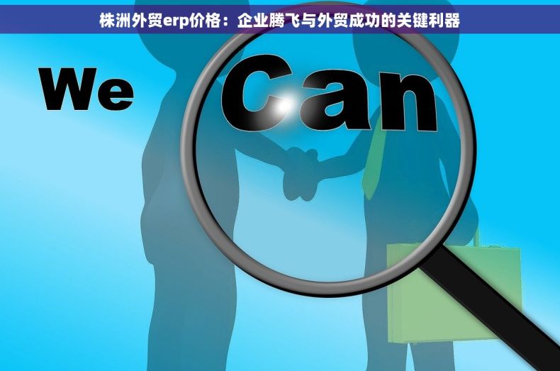 株洲外贸erp价格：企业腾飞与外贸成功的关键利器