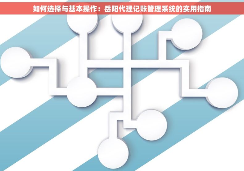 如何选择与基本操作：岳阳代理记账管理系统的实用指南