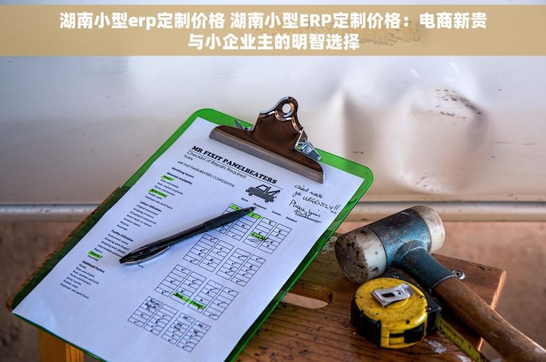 湖南小型erp定制价格 湖南小型ERP定制价格：电商新贵与小企业主的明智选择