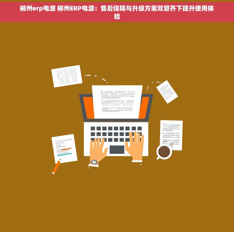 郴州erp电源 郴州ERP电源：售后保障与升级方案双管齐下提升使用体验