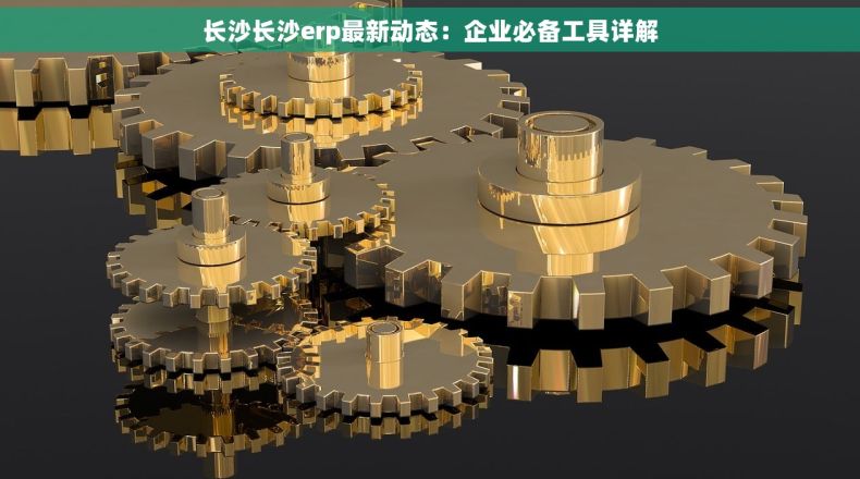 长沙长沙erp最新动态：企业必备工具详解