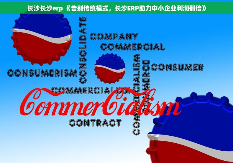 长沙长沙erp 《告别传统模式，长沙ERP助力中小企业利润翻倍》