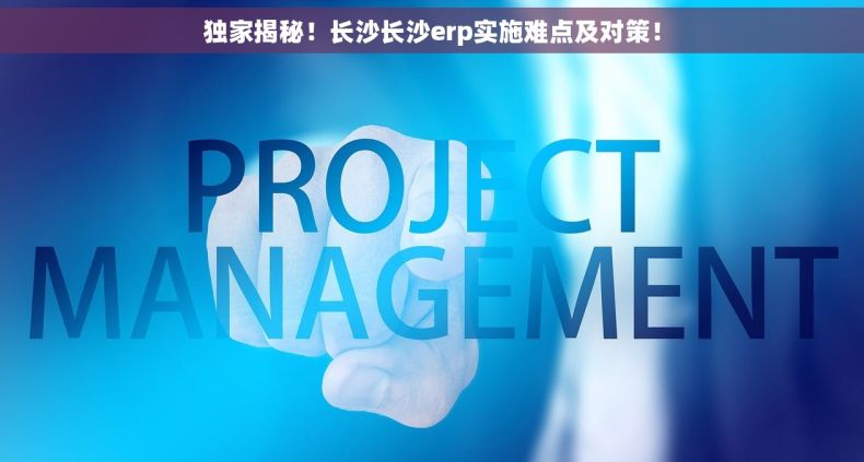 独家揭秘！长沙长沙erp实施难点及对策！