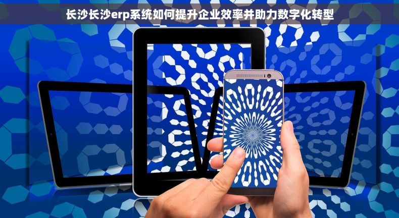长沙长沙erp系统如何提升企业效率并助力数字化转型