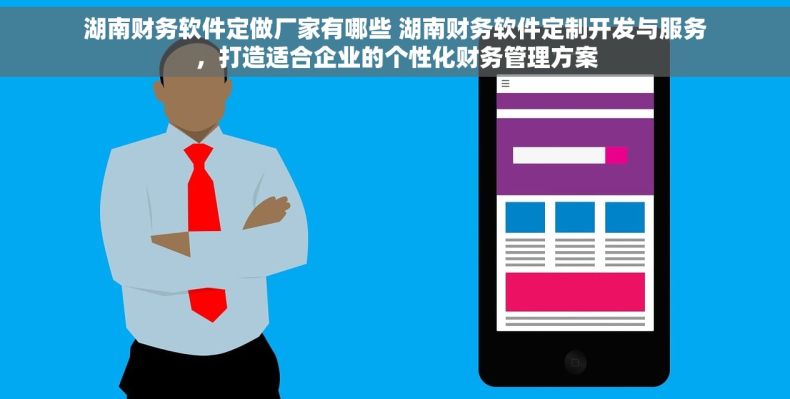 湖南财务软件定做厂家有哪些 湖南财务软件定制开发与服务，打造适合企业的个性化财务管理方案
