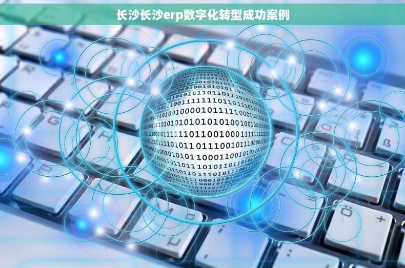 长沙长沙erp数字化转型成功案例