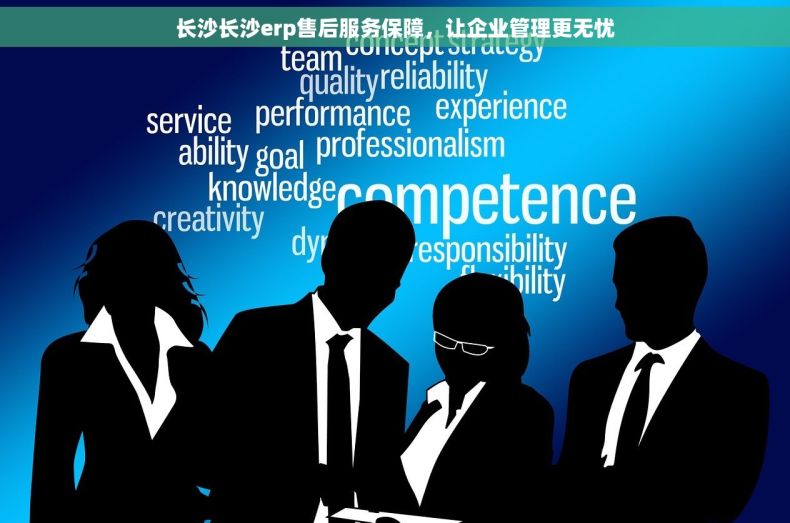 长沙长沙erp售后服务保障，让企业管理更无忧