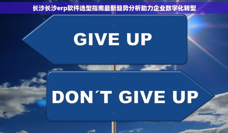 长沙长沙erp软件选型指南最新趋势分析助力企业数字化转型