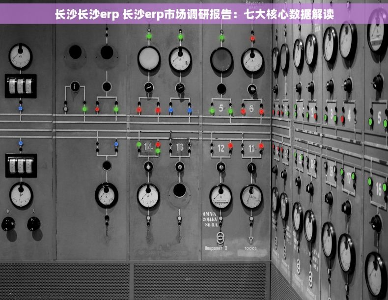 长沙长沙erp 长沙erp市场调研报告：七大核心数据解读