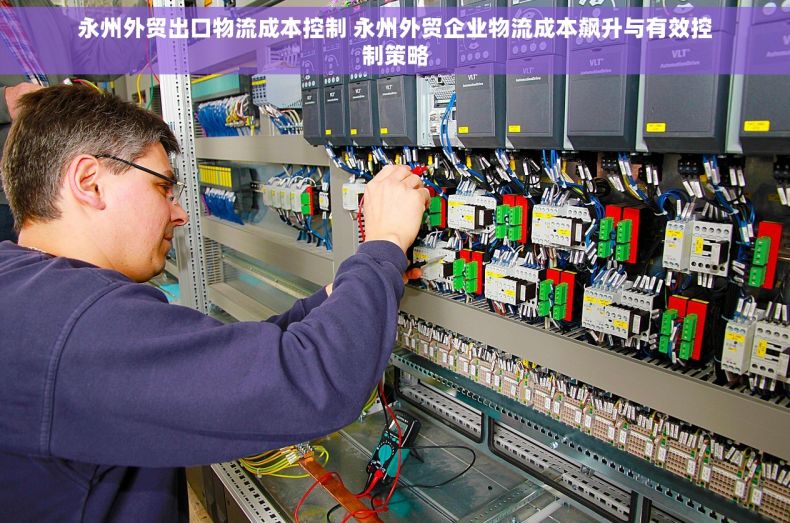 永州外贸出口物流成本控制 永州外贸企业物流成本飙升与有效控制策略