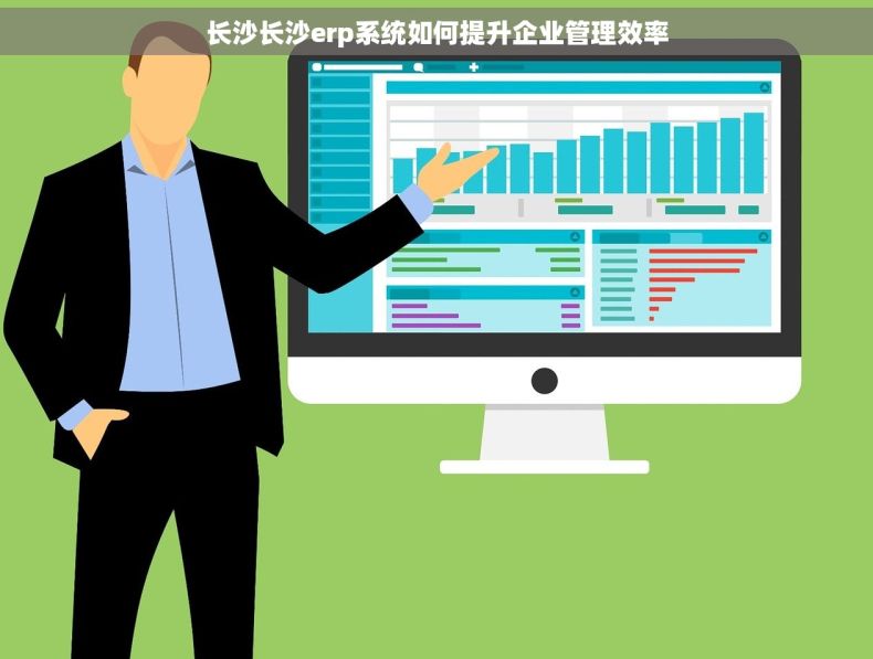 长沙长沙erp系统如何提升企业管理效率