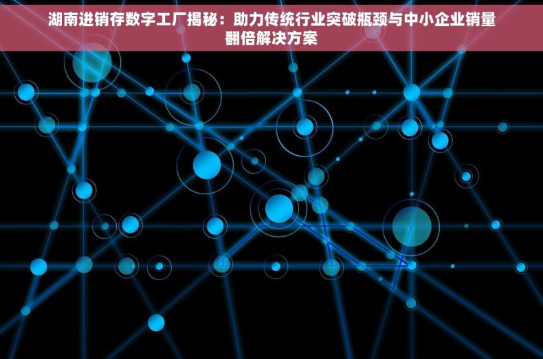 湖南进销存数字工厂揭秘：助力传统行业突破瓶颈与中小企业销量翻倍解决方案