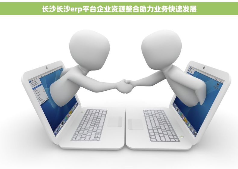 长沙长沙erp平台企业资源整合助力业务快速发展