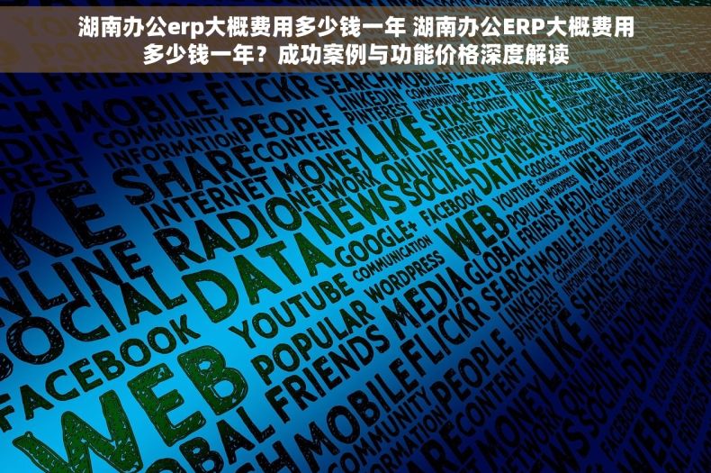 湖南办公erp大概费用多少钱一年 湖南办公ERP大概费用多少钱一年？成功案例与功能价格深度解读