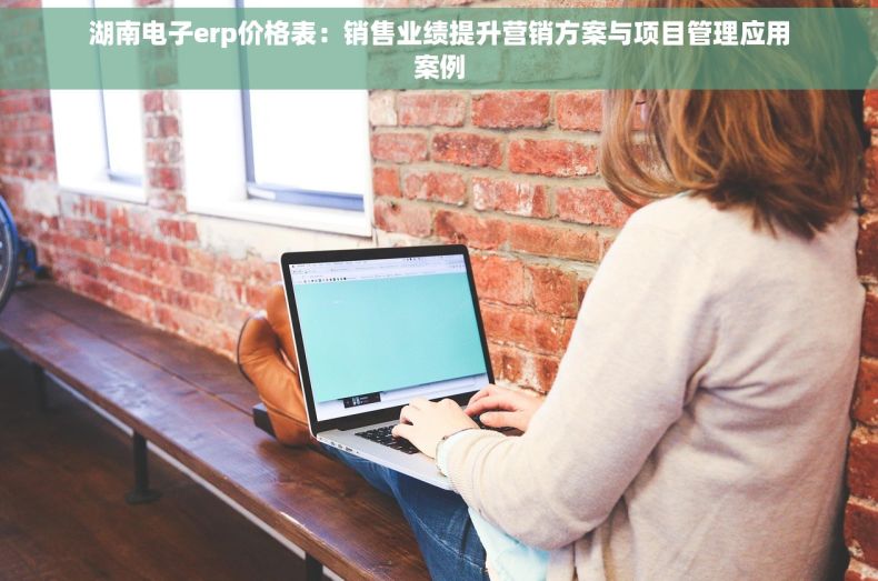 湖南电子erp价格表：销售业绩提升营销方案与项目管理应用案例