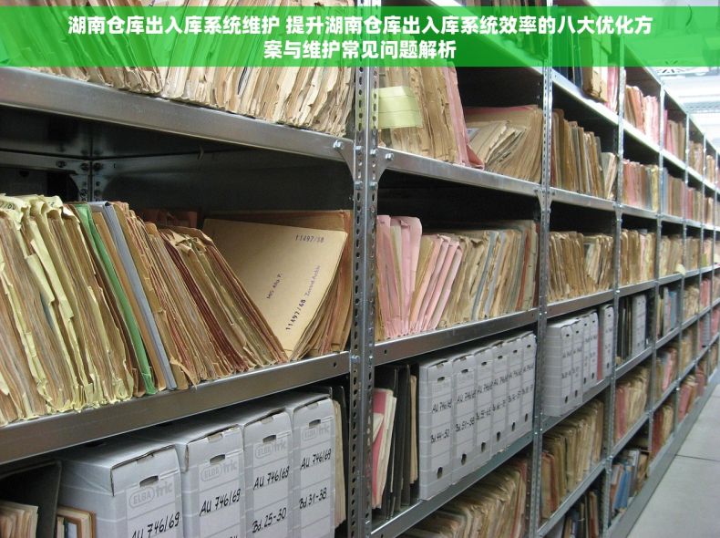 湖南仓库出入库系统维护 提升湖南仓库出入库系统效率的八大优化方案与维护常见问题解析