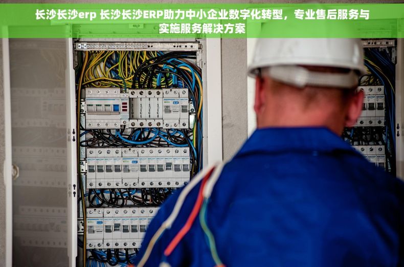 长沙长沙erp 长沙长沙ERP助力中小企业数字化转型，专业售后服务与实施服务解决方案