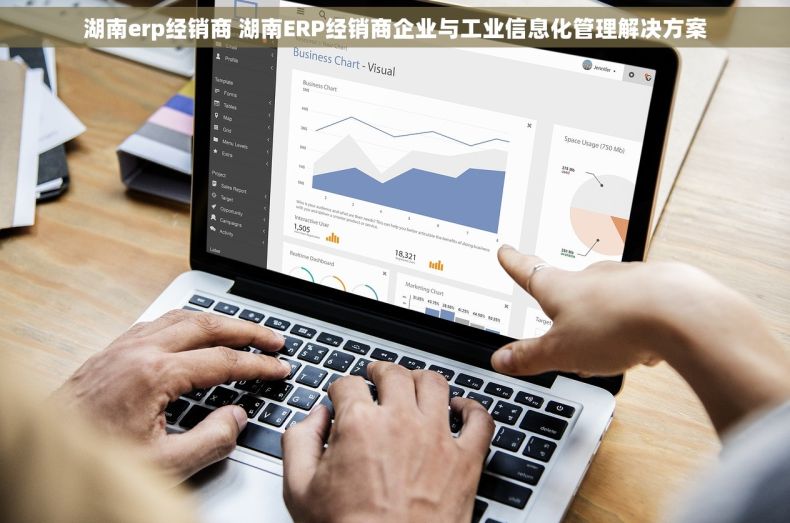 湖南erp经销商 湖南ERP经销商企业与工业信息化管理解决方案