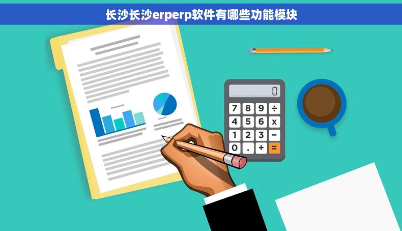 长沙长沙erperp软件有哪些功能模块
