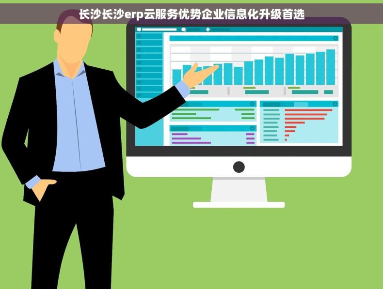 长沙长沙erp云服务优势企业信息化升级首选