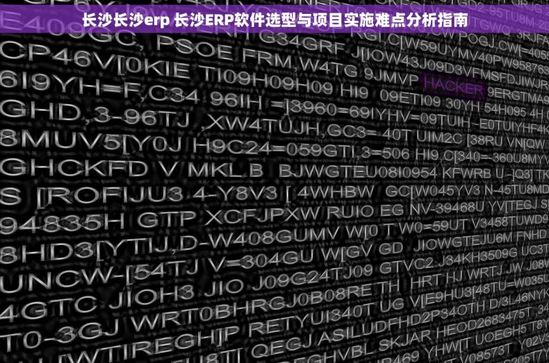 长沙长沙erp 长沙ERP软件选型与项目实施难点分析指南