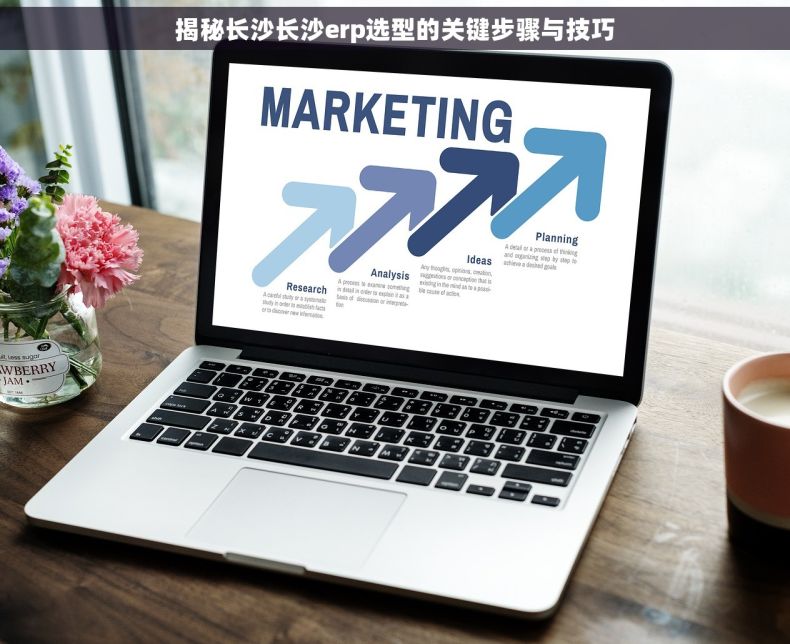 揭秘长沙长沙erp选型的关键步骤与技巧