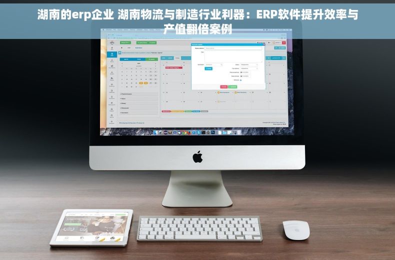 湖南的erp企业 湖南物流与制造行业利器：ERP软件提升效率与产值翻倍案例