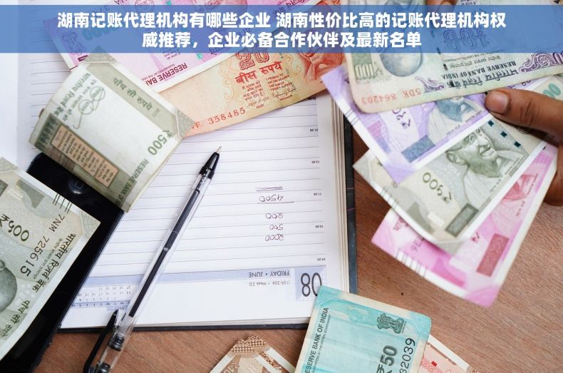 湖南记账代理机构有哪些企业 湖南性价比高的记账代理机构权威推荐，企业必备合作伙伴及最新名单