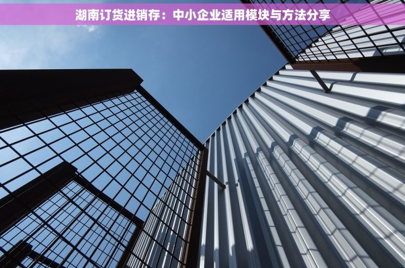 湖南订货进销存：中小企业适用模块与方法分享
