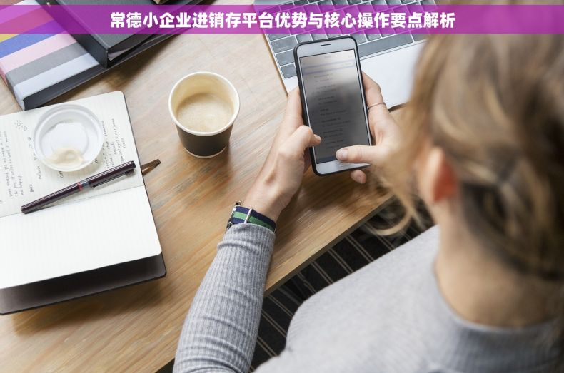 常德小企业进销存平台优势与核心操作要点解析