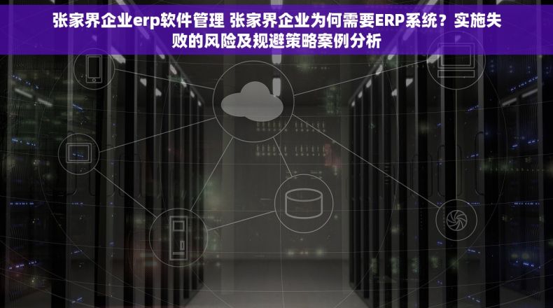 张家界企业erp软件管理 张家界企业为何需要ERP系统？实施失败的风险及规避策略案例分析