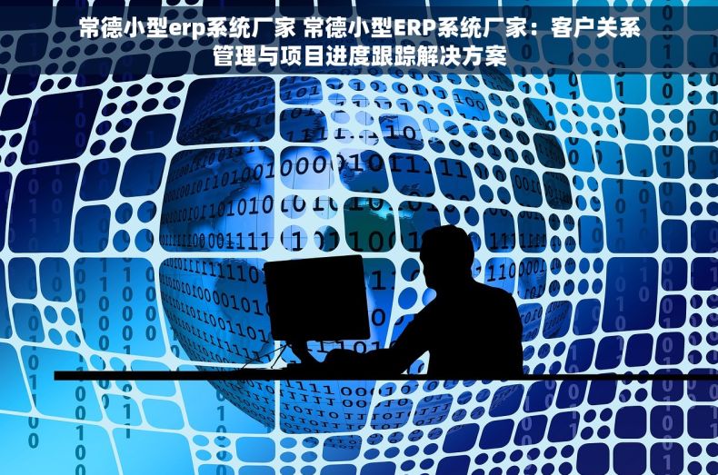 常德小型erp系统厂家 常德小型ERP系统厂家：客户关系管理与项目进度跟踪解决方案