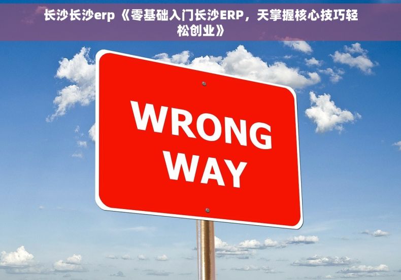 长沙长沙erp 《零基础入门长沙ERP，天掌握核心技巧轻松创业》