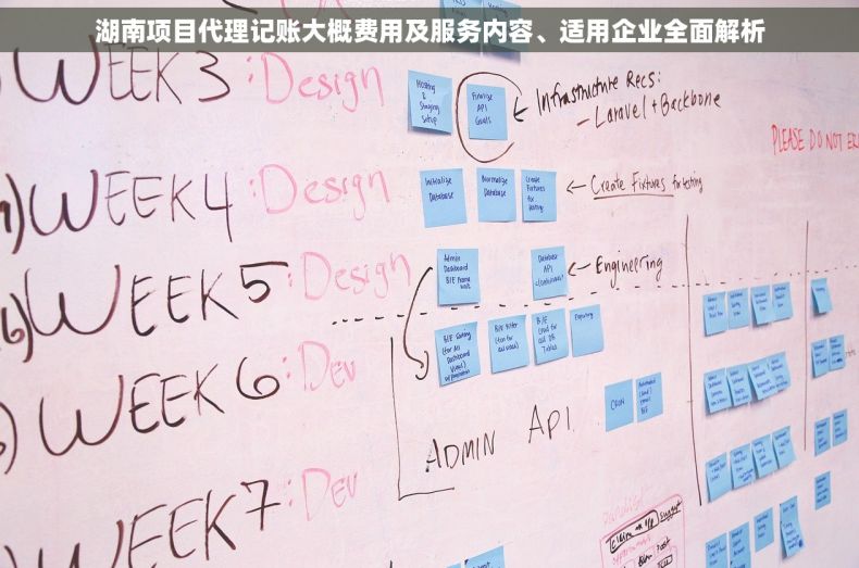 湖南项目代理记账大概费用及服务内容、适用企业全面解析