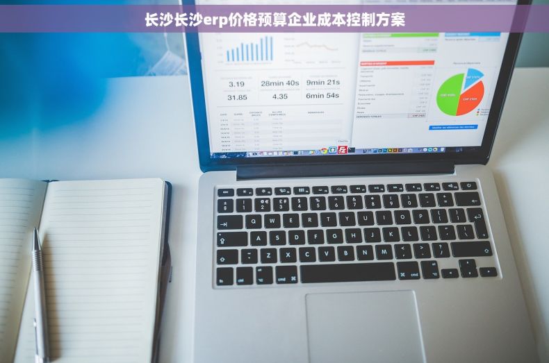 长沙长沙erp价格预算企业成本控制方案