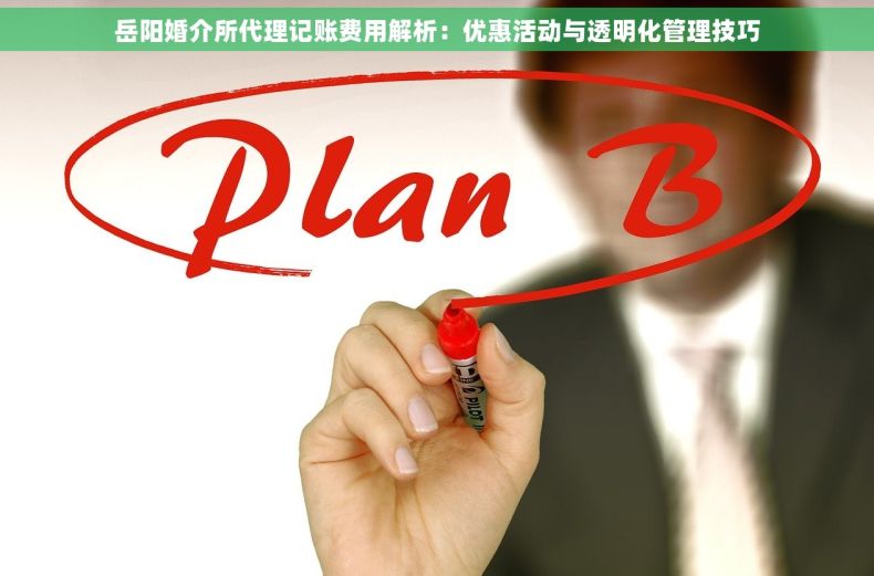 岳阳婚介所代理记账费用解析：优惠活动与透明化管理技巧
