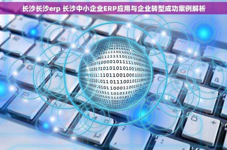 长沙长沙erp 长沙中小企业ERP应用与企业转型成功案例解析